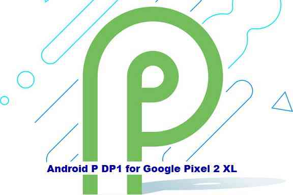 pixel 2 xl android p dp1