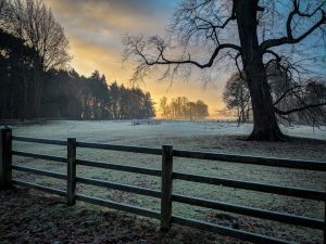 Gcam Google Camera Download For Vivo Phones